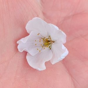 Meet your Posher, Alice